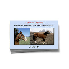 Post Cards